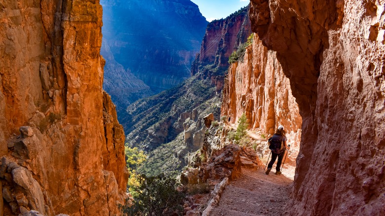 Hiker on the North Rim