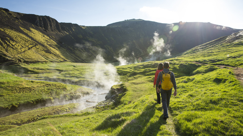 hikers in verdant green landscape