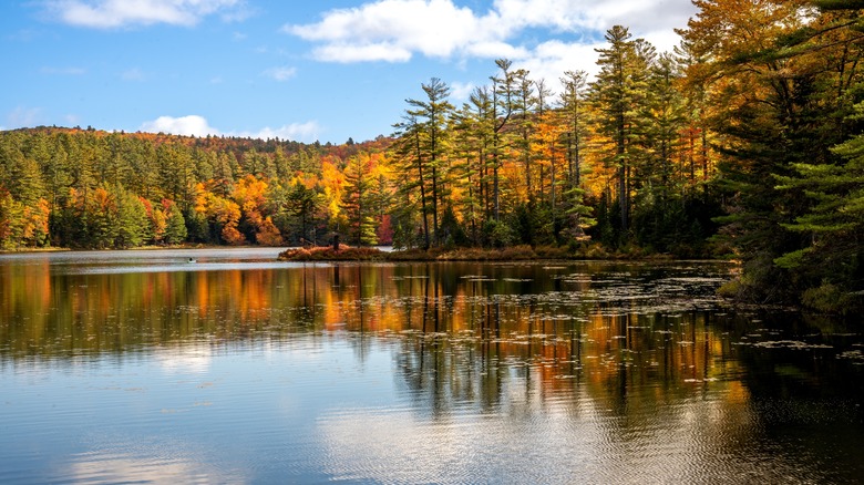 Lowell Lake in the fall