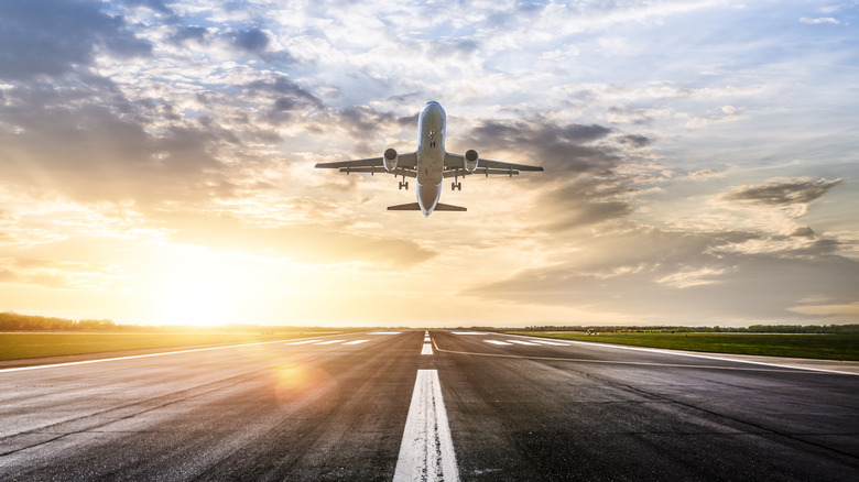 Flight taking off at sunrise