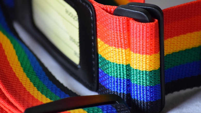 Rainbow luggage strap