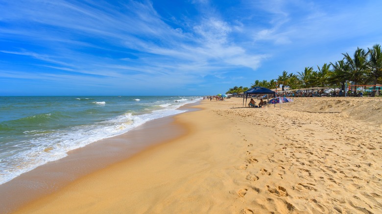 Beach in Trancoso, Brazil