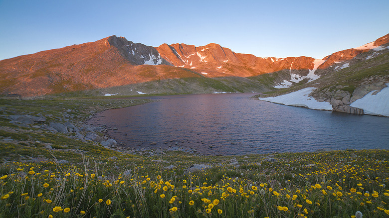 Mount Evans