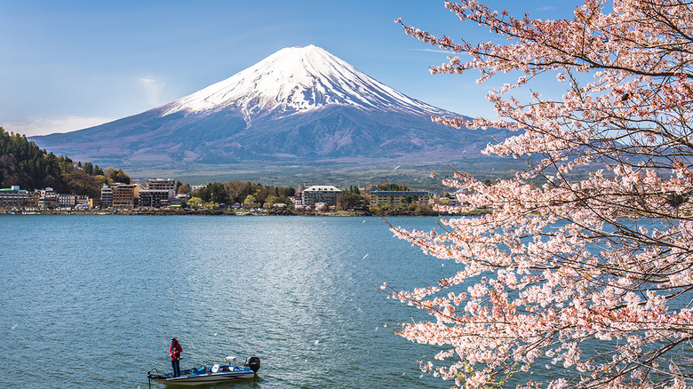 Mount Fuji (Japan)