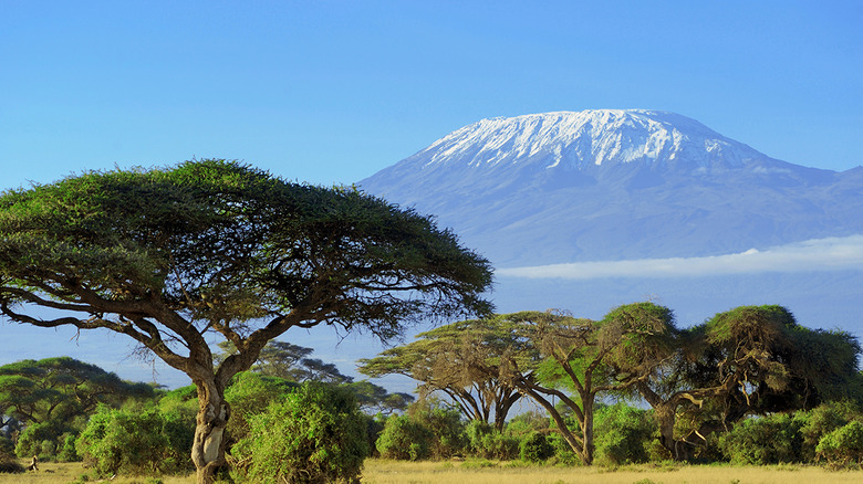 Mount Kilimanjaro (Tanzania)