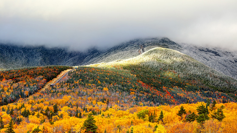 Mount Washington 