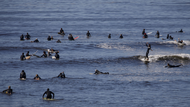 Surfers at Surfrider Beach