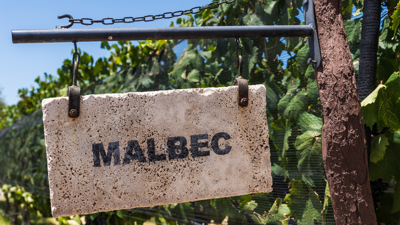 Malbec sign in vineyard