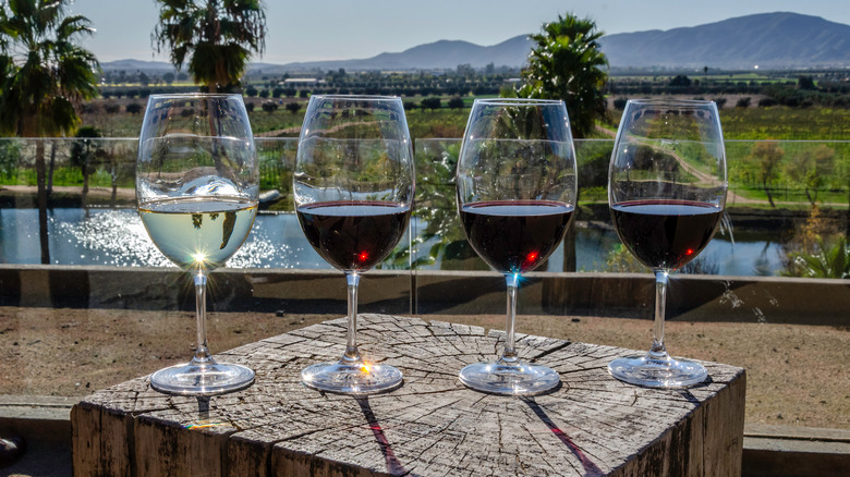 Wine tasting with vineyard in background