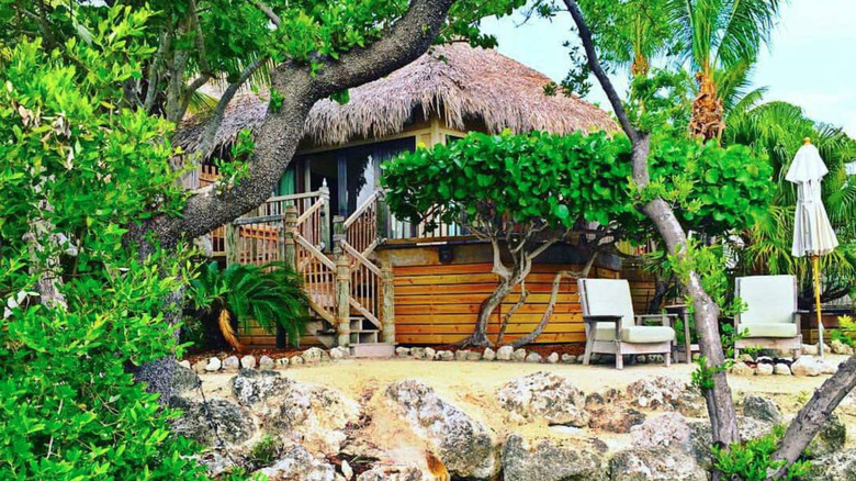 palm trees and island shack