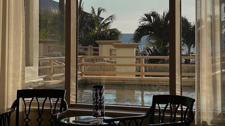 hotel pool and palm trees