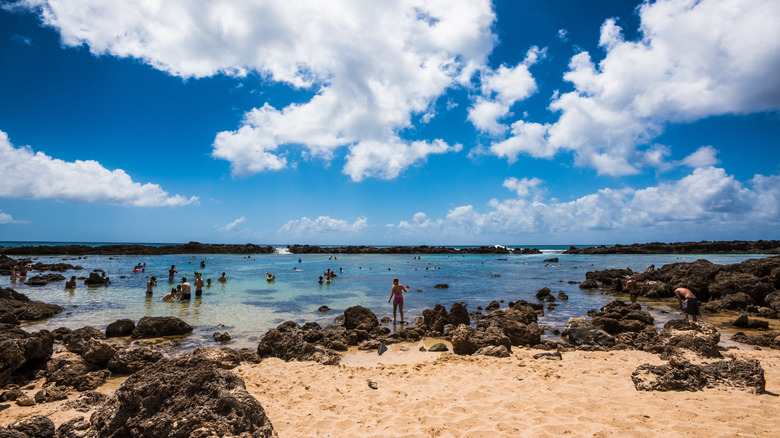 Shark's Cove on Oahu