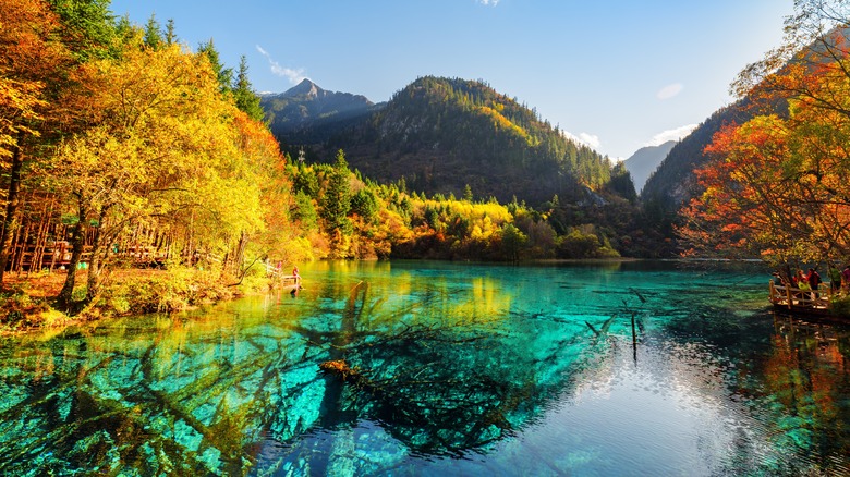 Five Flower Lake in China