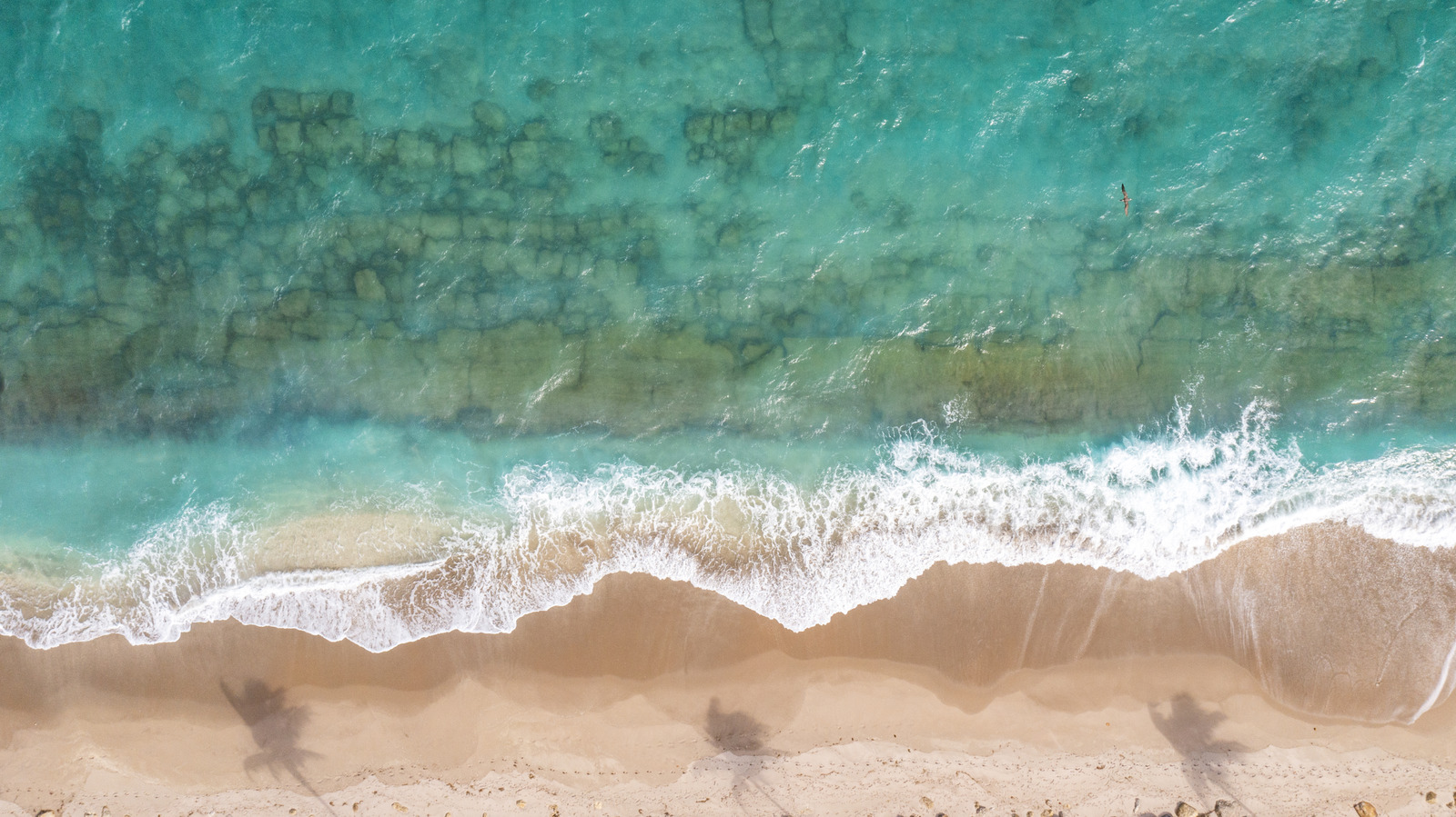 Dangerous Beach