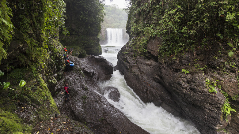 waterfall and river jungle