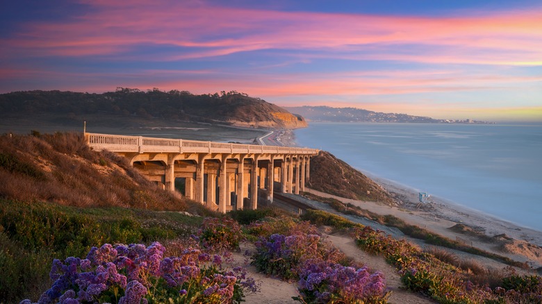 Sunset at San Diego beach