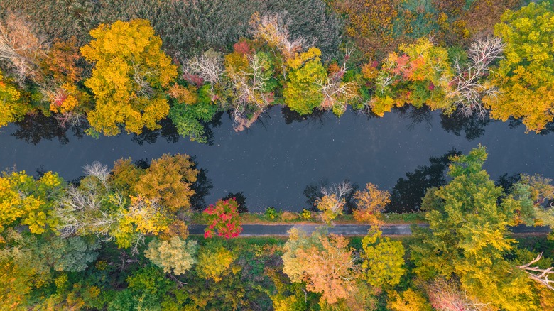 River in the fall