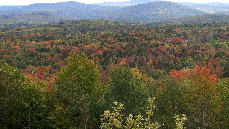 Vermont mountains in the fall