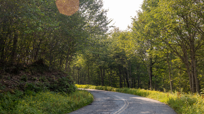 Lincoln Gap Road in Vermont