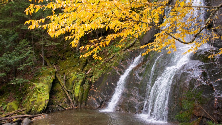 A waterfall near Mad River