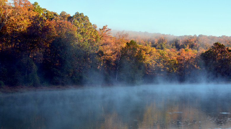 Mist evaporating off lake