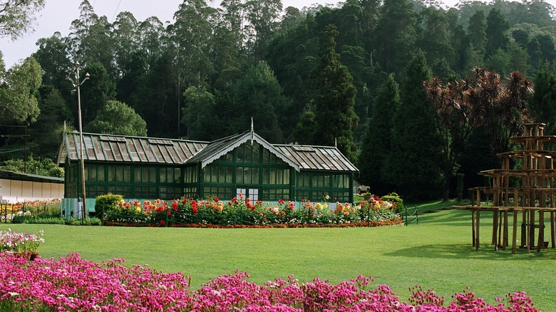 Botanical Gardens in Ooty