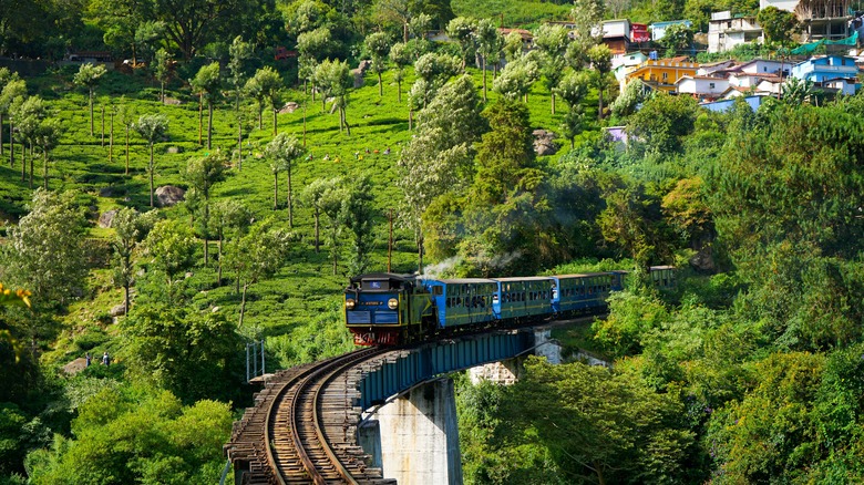 Nilgiri Mountain Railway trail