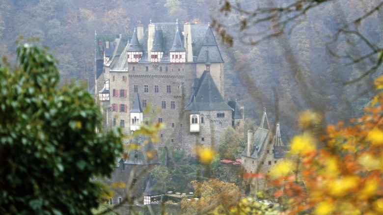 Eltz Castle framed by leaves