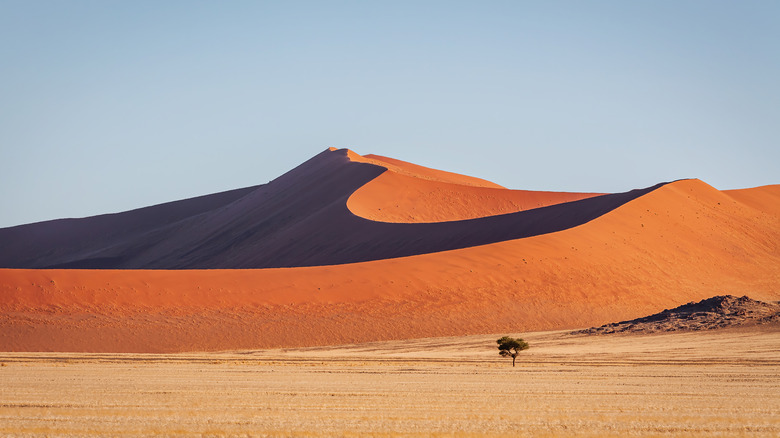 Dunes in Namibia