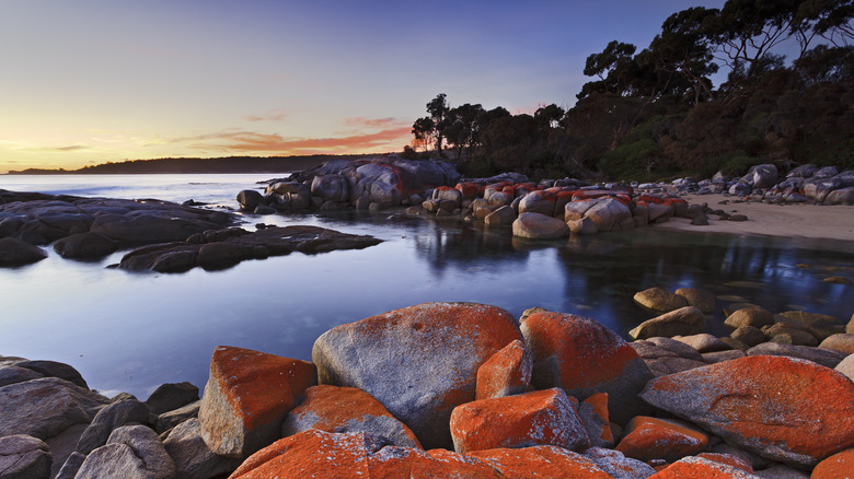 Bay of Fires in Tasmania