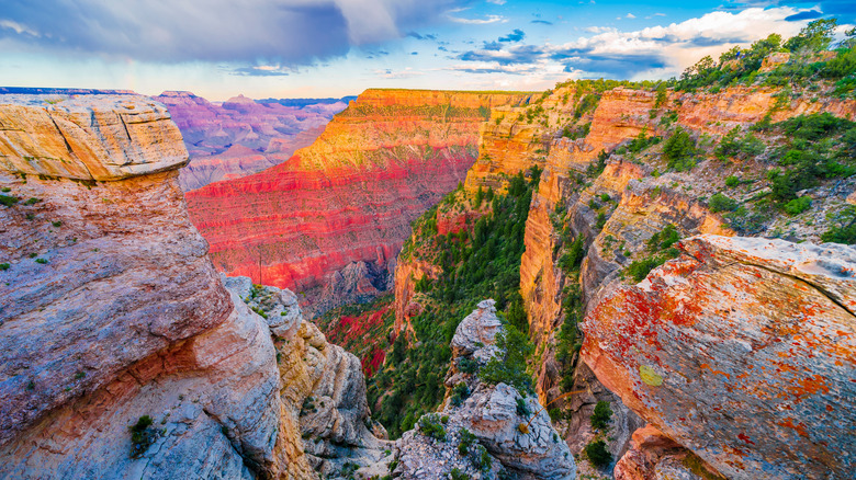 South rim at the Grand Canyon