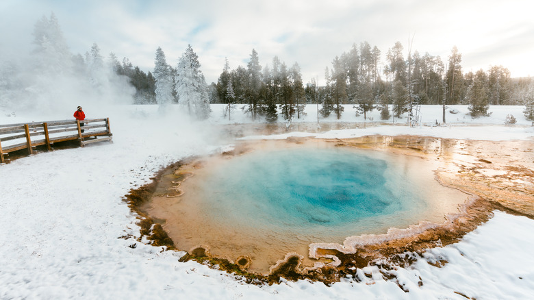 hot spring in Yellowstone