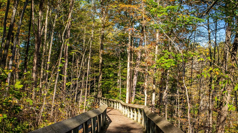 Trail in Cuyahoga Valley NP