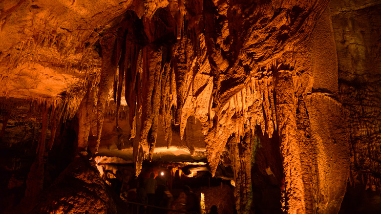 Inside Mammoth Cave National Park