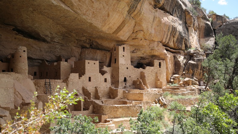 Mesa Verde cliff homes