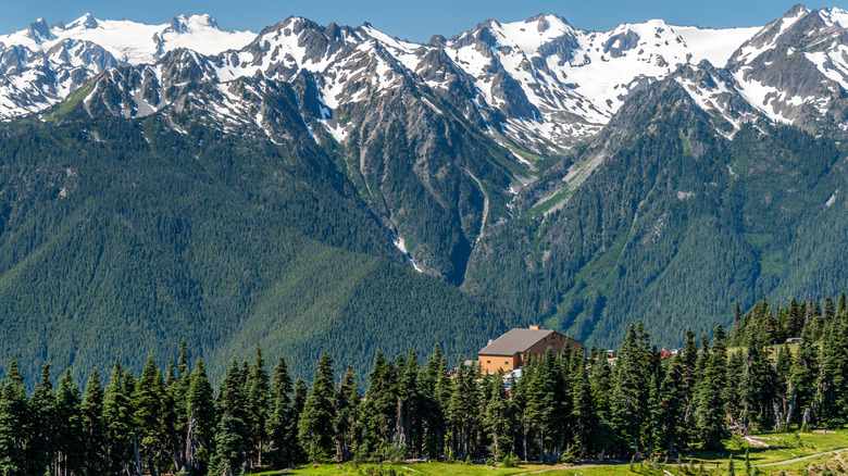 view of Olympic National Park