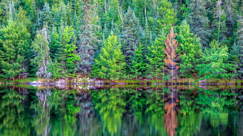 Voyageurs National Park