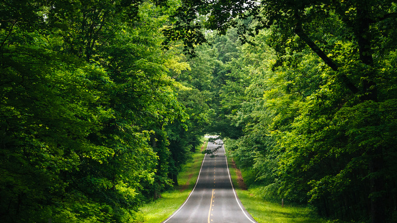 Skyline Drive