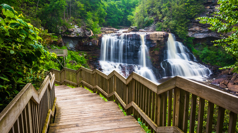 Blackwater Falls State Park