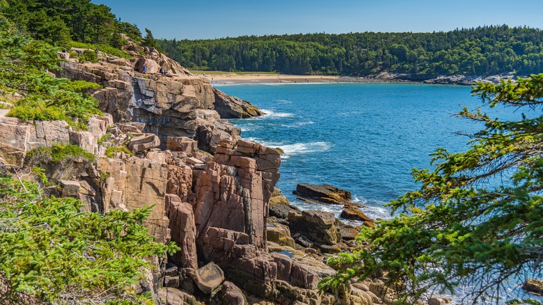 Acadia National Park cliffs