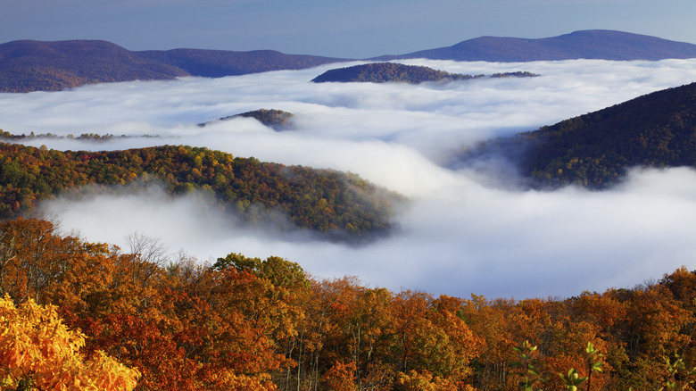 Shenandoah National Park fall foliage 