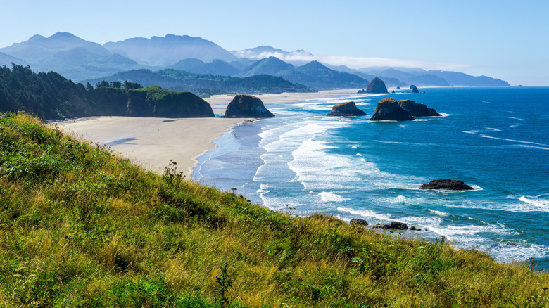 Tillamook Coast landscape