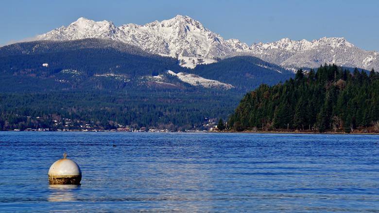 The Olympic mountains from Hood Canal