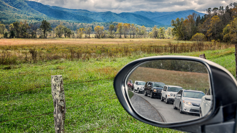 Rearview mirror line cars Cades Cove