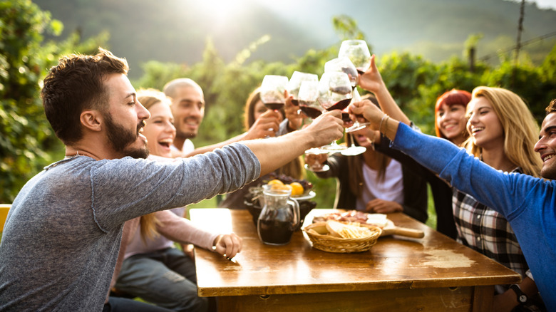 friends doing a wine tasting