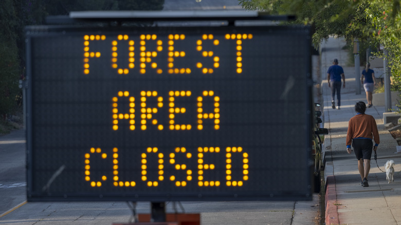 road sign forest area closed
