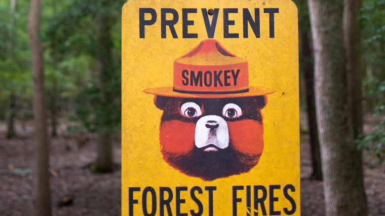 smokey bear prevent forest fires