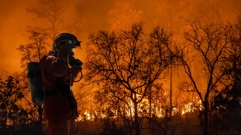 firefighter fighting wildfire