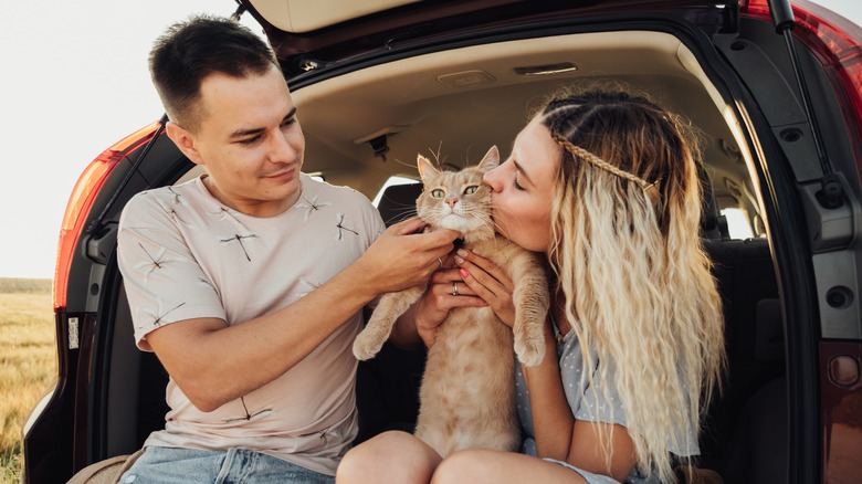 couple in car petting cat