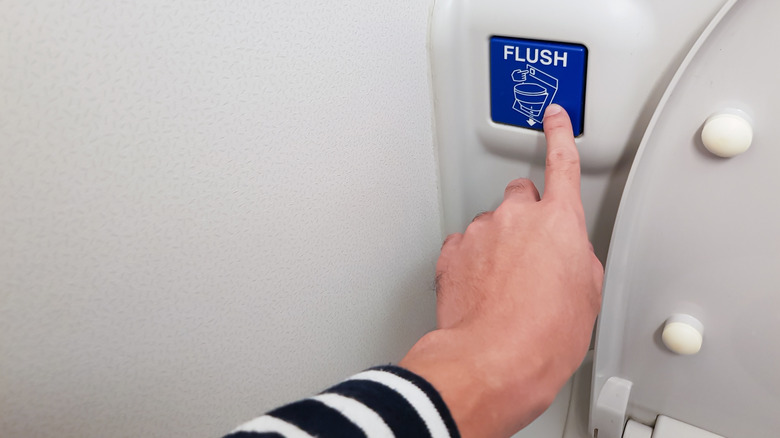 Person flushing a plane toilet